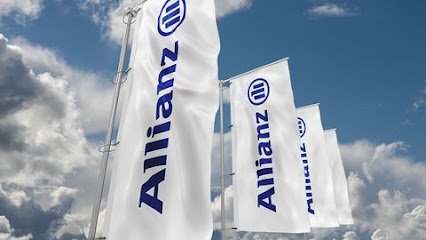 foto de Allianz Seguros - Agente Rosa Maria Navarro Vizcaino